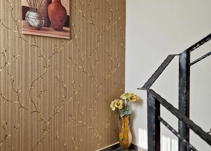 айляк клуб 2*